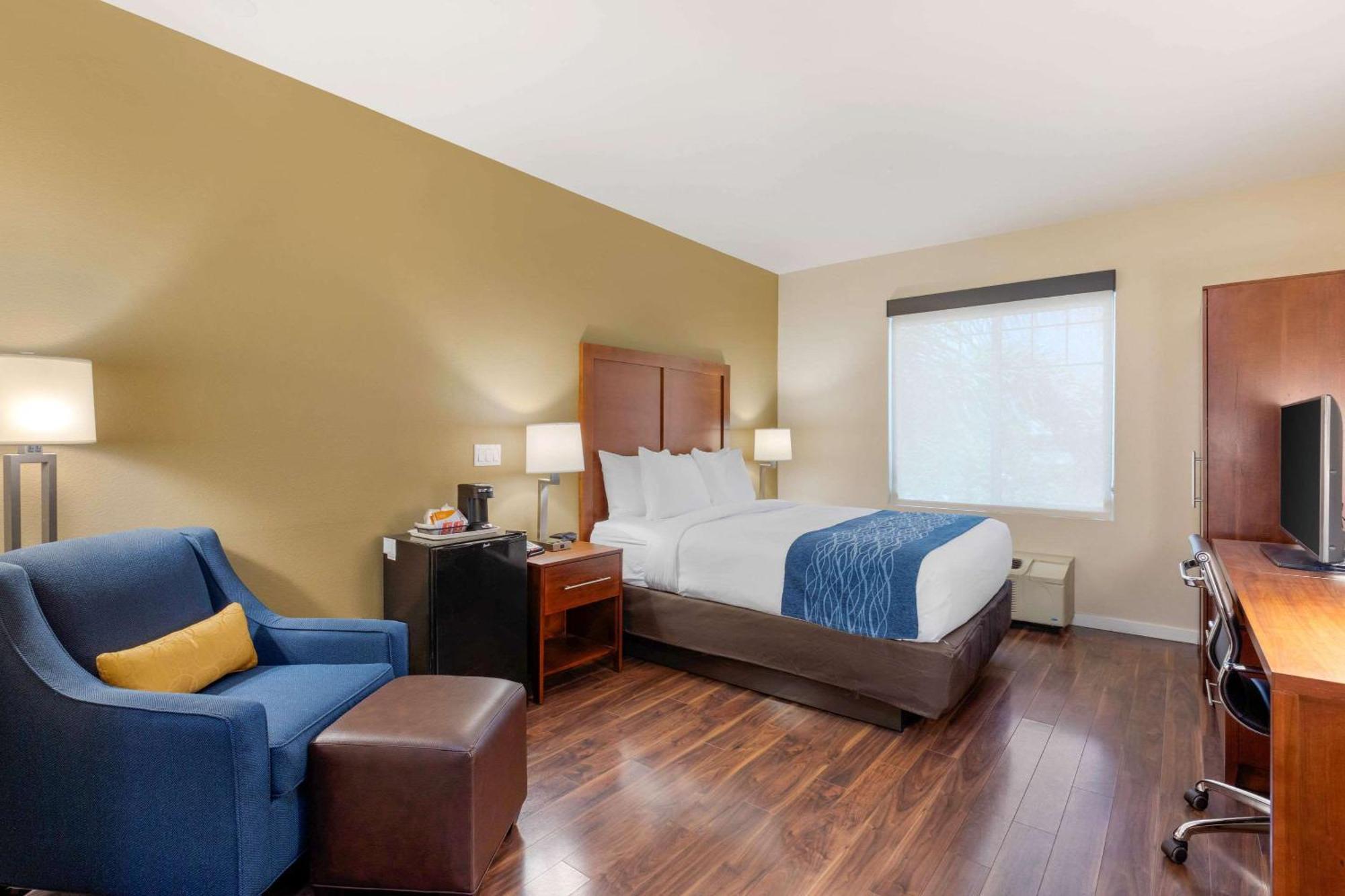 Standard Room, 1 Queen Bed, Non Smoking