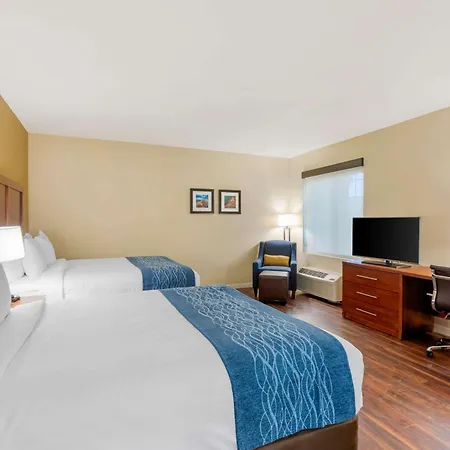 Comfort Inn & Suites Near Ontario Airport-2
